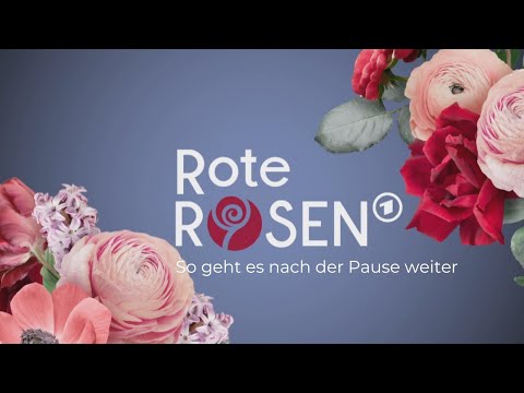 Einfach Liebe? 💗 So geht es nach der Sommerpause weiter I Rote Rosen