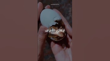 تلاوة عطرة #القرآن_الكريم #تلاوة_خاشعة #راحة_نفسية
