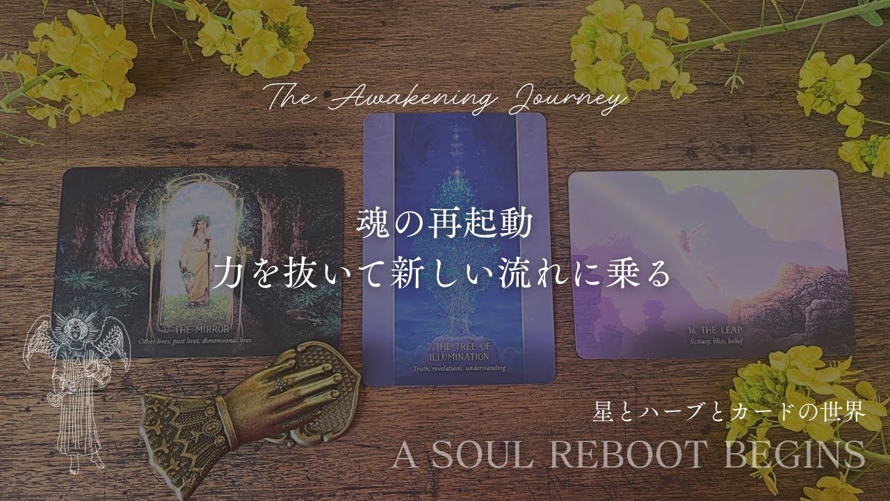 【魂の再起動】今、力を抜いた人から新しい流れに乗り始める👼スピリチュアルカードリーディング🪄タロット＋オラクル