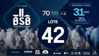 42 - LEILÃO VIRTUAL GENÉTICA TOUROS BSB AGROPECUÁRIA 31/08/2026
