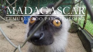 Lemurs of madagascar 4K | trip to parc ivoloina tamatave | GoPro