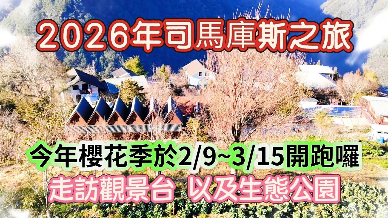 2026司馬庫斯之旅，今年櫻花季於2/9~3/15開跑囉，本片走訪觀景台以及生態公園！ @九天遊記 96