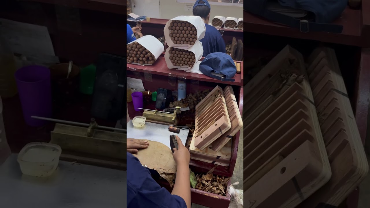 From seed to stick inside the Factory in the Dominican Republic 🍂 