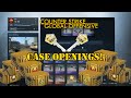 CS:GO - Case openings