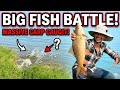 నదిలో భారీ రవ్వ చేప పడింది! 🎣 ఫీడర్ ఫిషింగ్ మజా!🥰 #fishing