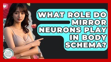 What Role Do Mirror Neurons Play In Body Schema? - Inside Body Image