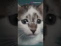 meal time moves #cutecreations #ai #cuteanimal #catvideos #pets #funnypets #cutecat #cute #funnycat