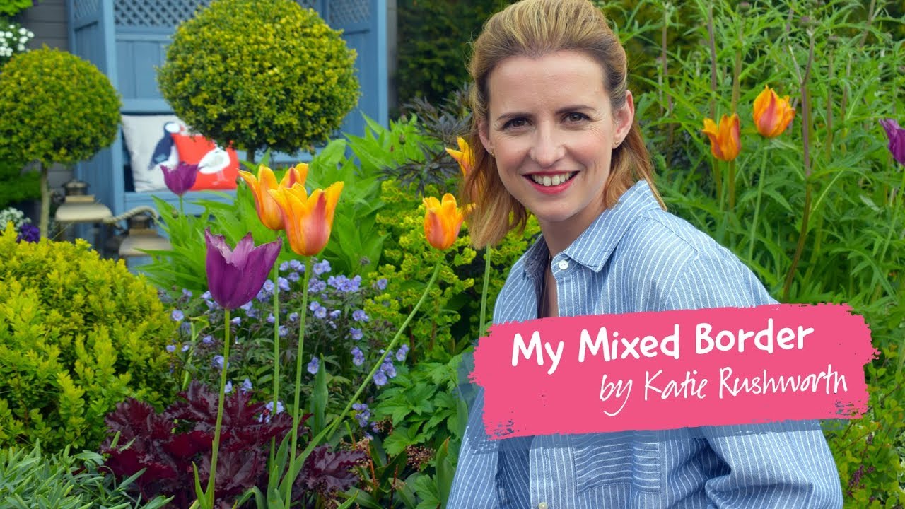 My Mixed Border by Katie Rushworth