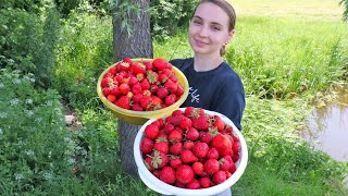 24 hours in VILLAGE # 3, STRAWBERRY DAY, breakfast, lunch and dinner in the village