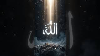 #yaali #nasheed #sultan #ottoman #love #beautiful #answer #heeragoldislamic #nature #duet
