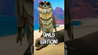 Sea Of Thieves Pets: Owls!