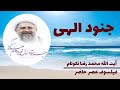 جنود الهی آیت الله محمد رضا نکونام 