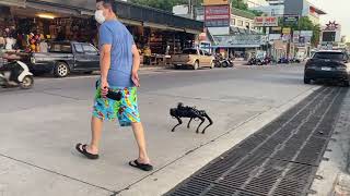 Unitree Robot Dog Crossing the Road in Pattaya