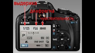 Быстрый обзор в мануальном режиме  canon 1200d