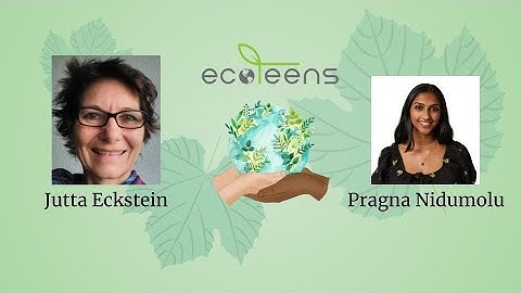 The Green Stories with Jutta Eckstein