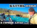 Тельдекпень 1 - порог на реке Катунь в горном Алтае! Велопрогулка у Ороктойского моста