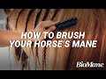 How To Properly Brush Your Horse's Mane