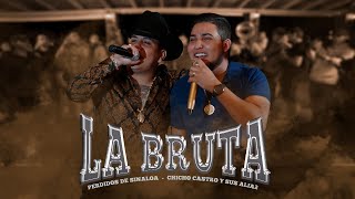 Perdidos de Sinaloa - La Bruta ft. Chicho Castro (En Vivo)