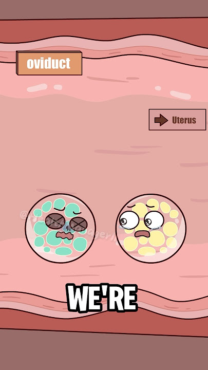 Is it possible for some people to have two sets of DNA?#shorts