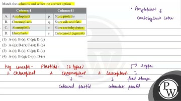 Match the columns and select the correct option \begin{tabular}{|c|l|c|l|} \hline \multicolumn{2...