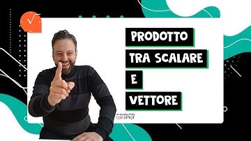 PRODOTTO DI UNO SCALARE PER UN VETTORE - casi con valori positivi o negativi