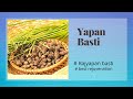 Yapan basti rajyapan basti  panchakarma