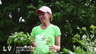 Morning Glory CSA partnership