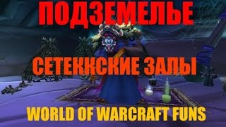 [WoW] Подземелье: Сетеккские Залы