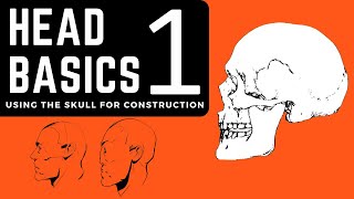 HEAD BASICS 1 - Using the skull for construction