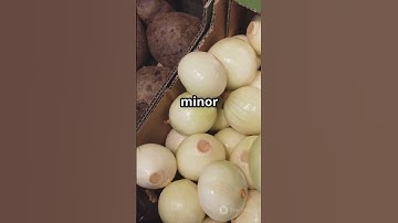Did you know? #onions #healthylifestyle #algorithm #shorts #health #brainrot #lifestyle