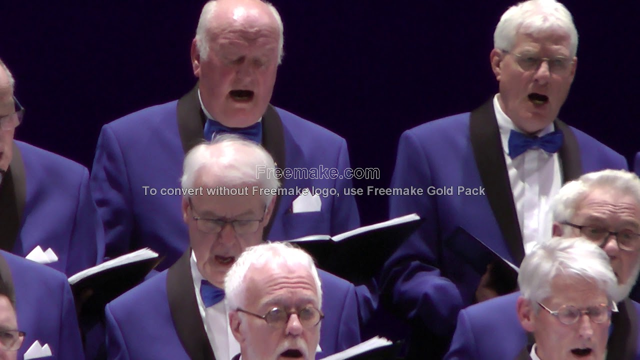 You raise me up,Ritmeester-Veenzangers Mannenkoor,o.l.v. Jimco Zijlstra