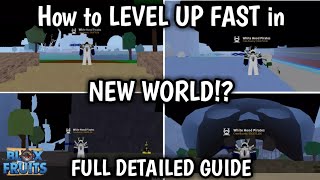 Project New World: COMPLETE Starter Guide (Levelling, Fruits