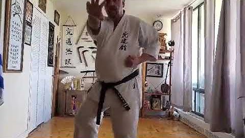 video 2 FUKYUGATA NI