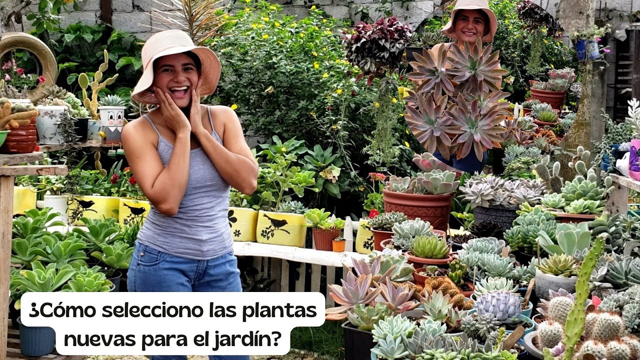 ¿Cómo selecciono las plantas nuevas para el jardín? acompáñenme a trasplantar.