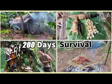 200 days bushwalking, building shelter, wild survival challenge alone in heavy rain forest