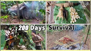 200 days bushwalking, building shelter, wild survival challenge alone in heavy rain forest