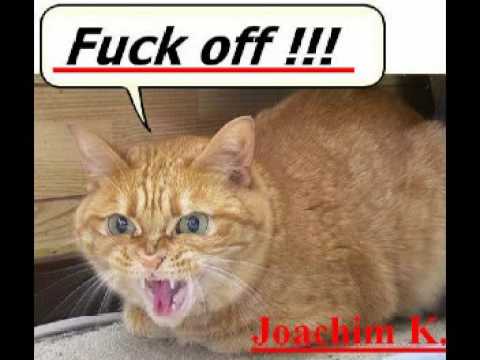 Joachim K. - Fuck off