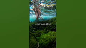 كن مع الله يكون معك تلاوة محمد اللحيدان | Mohammed al luhaidan voice beautiful