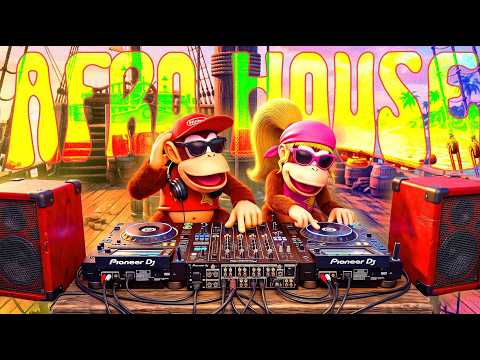 Donkey Kong Country 2 Chill Afro House Mix 🌴