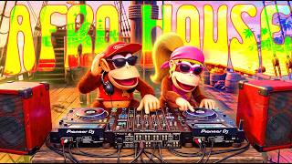 Donkey Kong Country 2 Chill Afro House Mix 🌴