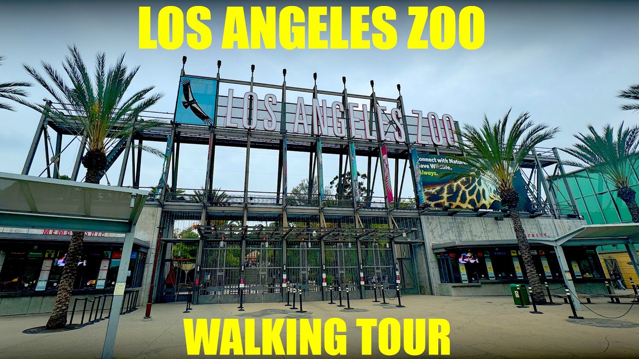Los Angeles Zoo - Walking Tour - Full Walkthrough - with Ultra Closeup Shots of Animals -  4k