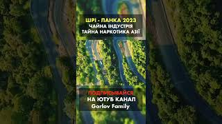 Шрі-Ланка 2023!  їдемо годувати мавпочок бананами🍌🐒