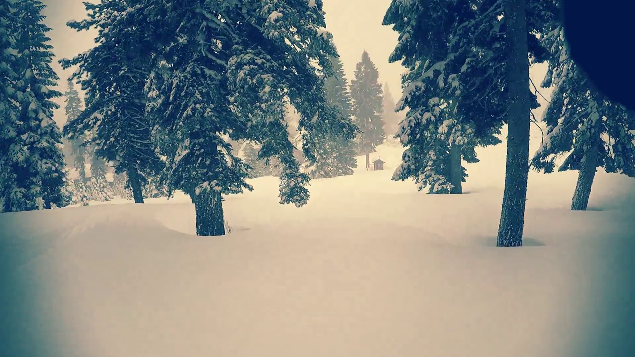 Tahoe Donner Downhill Ski Feb 2019 YouTube