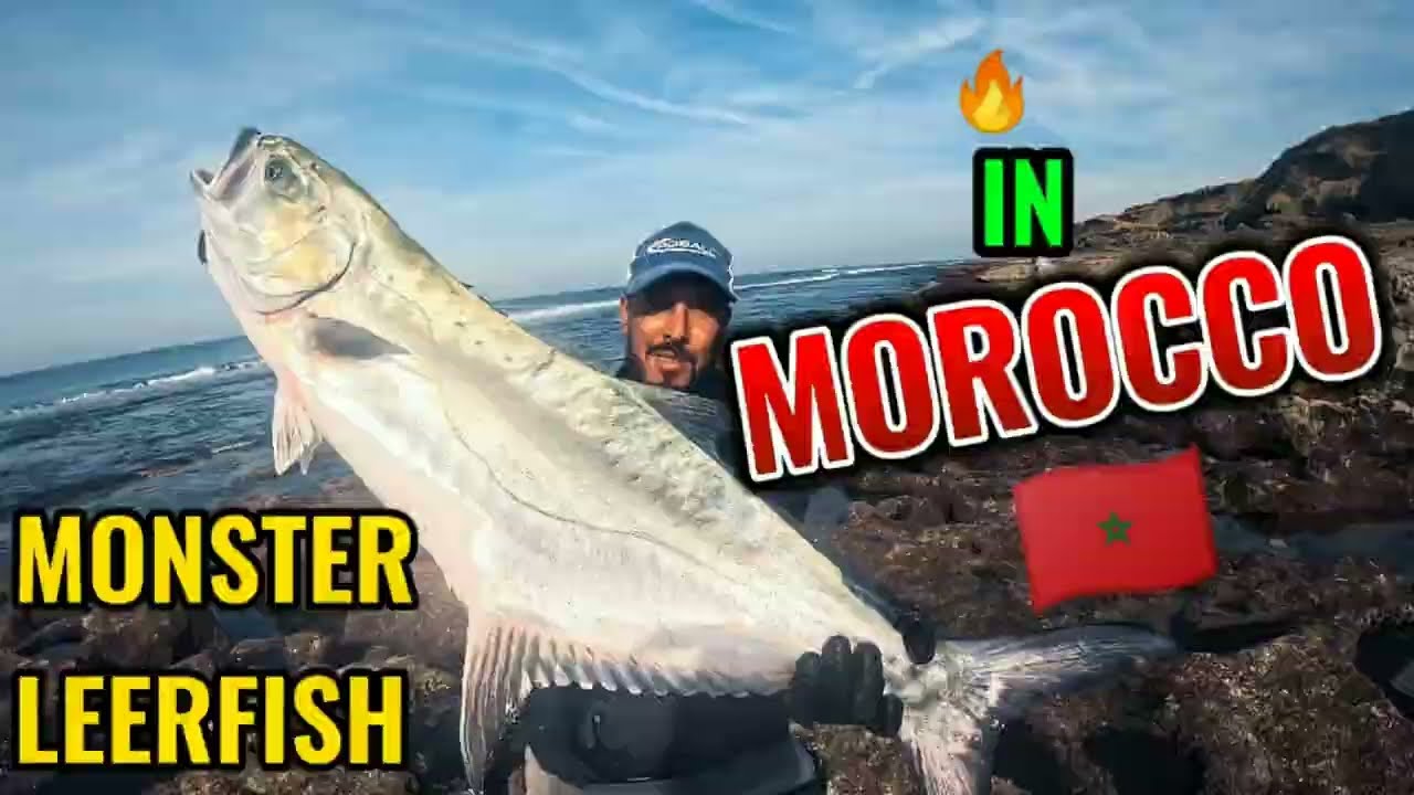MONSTER LEERFISH spinning in Morocco | صيد وحوش المحيط الأطلسي بمعدات خفيفة لتقنية السبينينغ (أولاح)