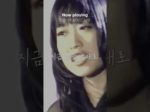 지친 어둠이 다시 푸른 눈 뜰 때 🌌 <strong>애송이의</strong> <strong>사랑</strong> (<strong>양파</strong>) #Shorts