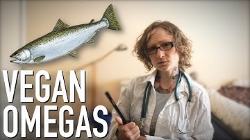 Omega 3 Fatty Acids on a Raw Vegan Diet | My Blood Test Results