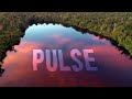 Rising Appalachia + Dirtwire - Pulse (Official Video)