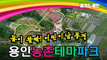 용인 가볼만한곳,  봄꽃축제가 한창인 어린이날 