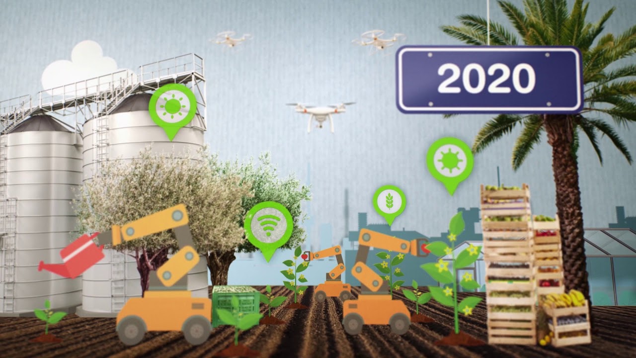 The Israel Export Institute |  Subtitles: English