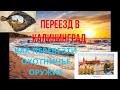 КАК ПЕРЕВЕЗТИ ОХОТНИЧЬЕ ОРУЖИЕ И ВЕЩИ. Переезд в Калининград